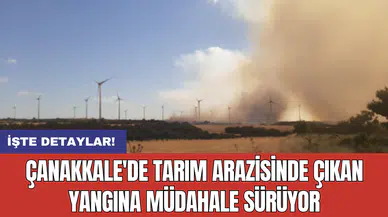 Çanakkale'de tarım arazisinde yangın