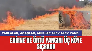 Edirne'de örtü yangını 3 köye sıçradı: Tarlalar ağaçlar ahırlar alev alev yanıyor