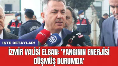 İzmir Valisi Elban: 'Yangının enerjisi düşmüş durumda'