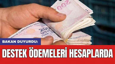 Bakan duyurdu: Destek ödemeleri hesaplarda