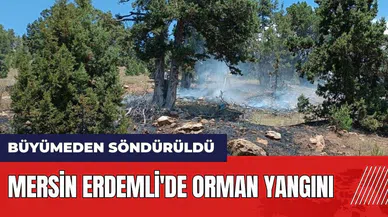 Mersin Erdemli'de orman yangını