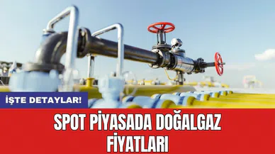 Spot piyasada doğalgaz fiyatları