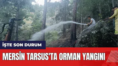 Mersin Tarsus'ta orman yangını