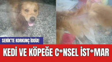 Serik’te korkunç iddia! Kedi ve köpeğe c*nsel ist*mar