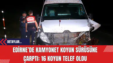 Edirne’de Kamyonet Koyun Sürüsüne Çarptı: 16 Koyun Telef Oldu