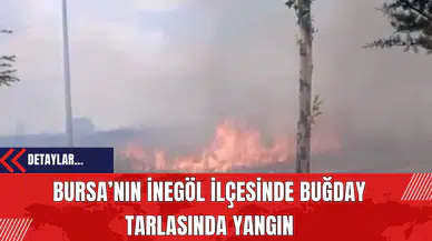 Bursa’nın İnegöl İlçesinde Buğday Tarlasında Yangın