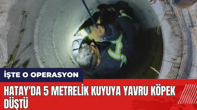 Hatay'da 5 metrelik kuyuya yavru köpek düştü