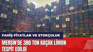Mersin'de 380 ton kaçak limon tespit edildi