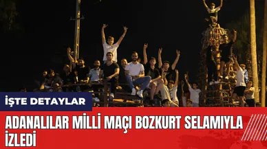 Adanalılar Milli maçı bozkurt selamıyla izledi