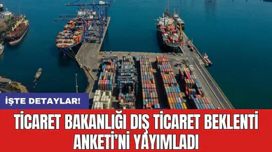 Ticaret Bakanlığı 'Dış Ticaret Beklenti Anketi'ni yayımladı