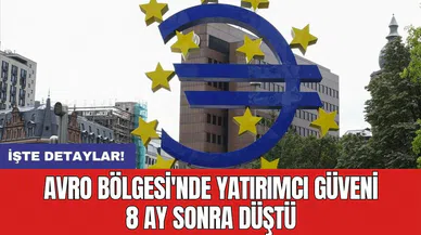 Avro Bölgesi'nde yatırımcı güveni 8 ay sonra düştü