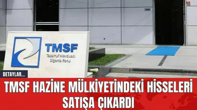 TMSF Hazine Mülkiyetindeki Hisseleri Satışa Çıkardı