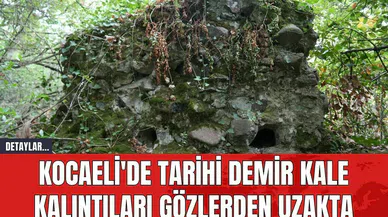 Kocaeli'de Tarihi Demir Kale Kalıntıları Gözlerden Uzakta
