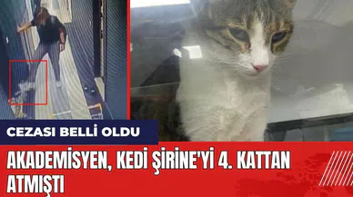 Kedi Şirine'yi 4. kattan atmıştı! O akademisyenin cezası belli oldu