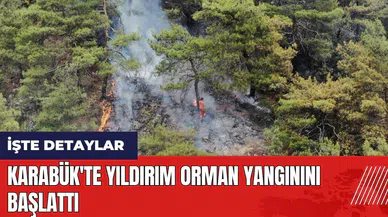 Karabük'te yıldırım orman yangınını başlattı