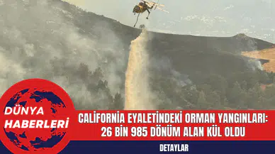 California Eyaletindeki Orman Yangınları: 26 Bin 985 Dönüm Alan Kül Oldu