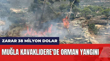 Muğla Kavaklıdere'de orman yangını