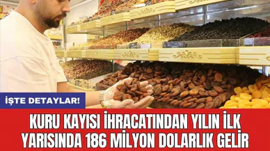 Kuru kayısı ihracatından yılın ilk yarısında 186 milyon dolarlık gelir