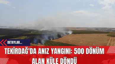 Tekirdağ'da Anız Yangını: 500 Dönüm Alan Küle Döndü