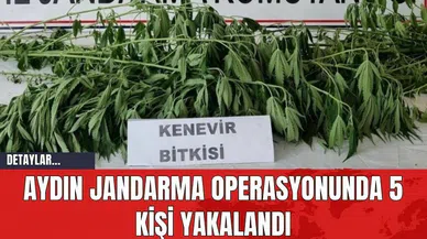 Aydın Jandarma Operasyonunda 5 Kişi Yakalandı