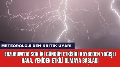 Erzurum'da son iki gündür etkisini kaybeden yağışlı hava, yeniden etkili olmaya başladı