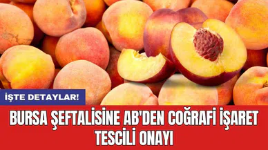 Bursa Şeftalisine AB'den Coğrafi İşaret Tescili Onayı