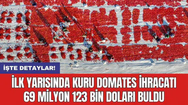 İlk yarısında kuru domates ihracatı 69 milyon 123 bin doları buldu