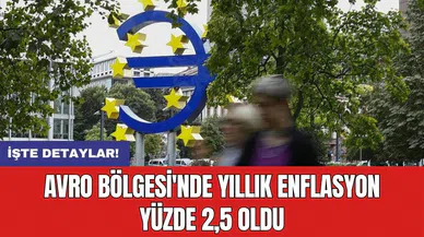 Avro Bölgesi'nde yıllık enflasyon yüzde 2,5 oldu