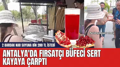 Antalya'da 2 bardak nar suyuna bin 200 TL isteyen büfeci sert kayaya çarptı