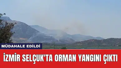 İzmir Selçuk'ta orman yangını çıktı: Müdahale edildi