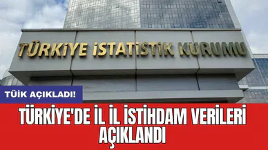 Türkiye'de il il istihdam verileri açıklandı