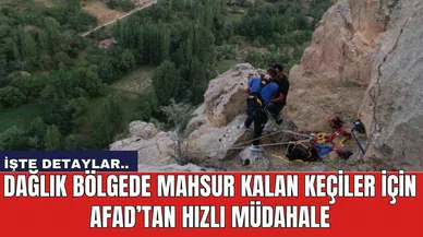 Dağlık Bölgede Mahsur Kalan Keçiler İçin AFAD’tan Hızlı Müdahale