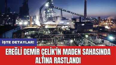 Ereğli Demir Çelik'in maden sahasında altına rastlandı