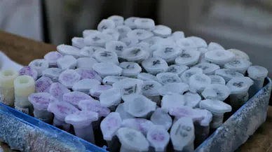 Türkiye'de tek: Doğadan 25 yılda toplandı