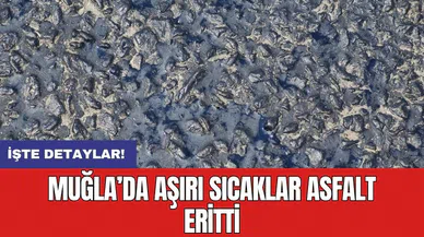 Muğla’da aşırı sıcaklar asfalt eritti