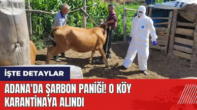 Adana'da şarbon paniği! O köy karantinaya alındı