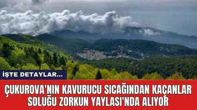 Çukurova'nın kavurucu sıcağından kaçanlar soluğu Zorkun Yaylası'nda alıyor