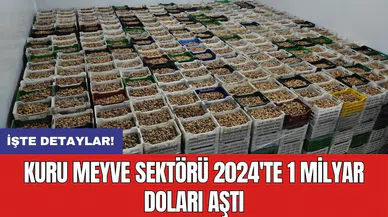 Kuru Meyve sektörü 2024'te 1 milyar doları aştı