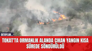 Tokat'ta Ormanlık Alanda Çıkan Yangın Kısa Sürede Söndürüldü