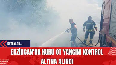 Erzincan'da Kuru Ot Yangını Kontrol Altına Alındı
