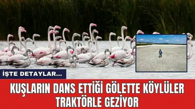 Kuşların  Dans Ettiği Gölette Köylüler Traktörle Geziyor