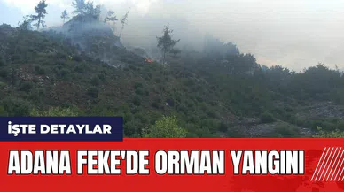 Adana Feke'de orman yangını