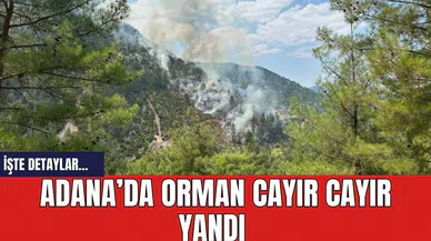 Adana’da orman cayır cayır yandı