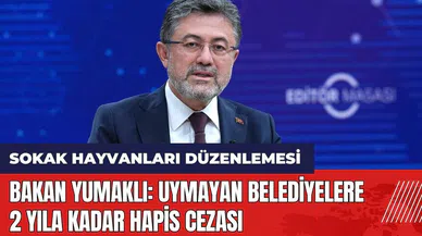 Sokak hayvanları düzenlemesi: Bakan Yumaklı: Uymayan belediyelere 2 yıla kadar hapis cezası