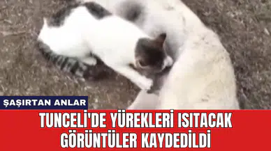 Tunceli'de yürekleri ısıtacak görüntüler kaydedildi
