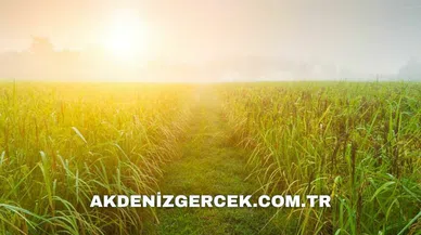 Nevşehir Avanos'ta mahkemeden satılık 397 m² arsa