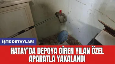 Hatay’da depoya giren yılan özel aparatla yakalandı