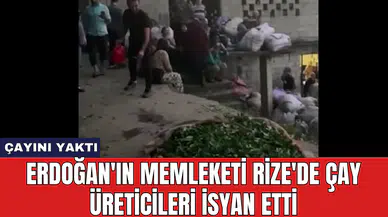 Erdoğan'ın memleketi Rize'de çay üreticileri isyan etti