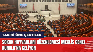 Sokak hayvanları düzenlemesi Meclis Genel Kurulu'na geliyor! İşte tarihi
