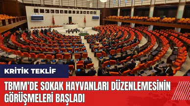 TBMM'de sokak hayvanları düzenlemesinin görüşmeleri başladı